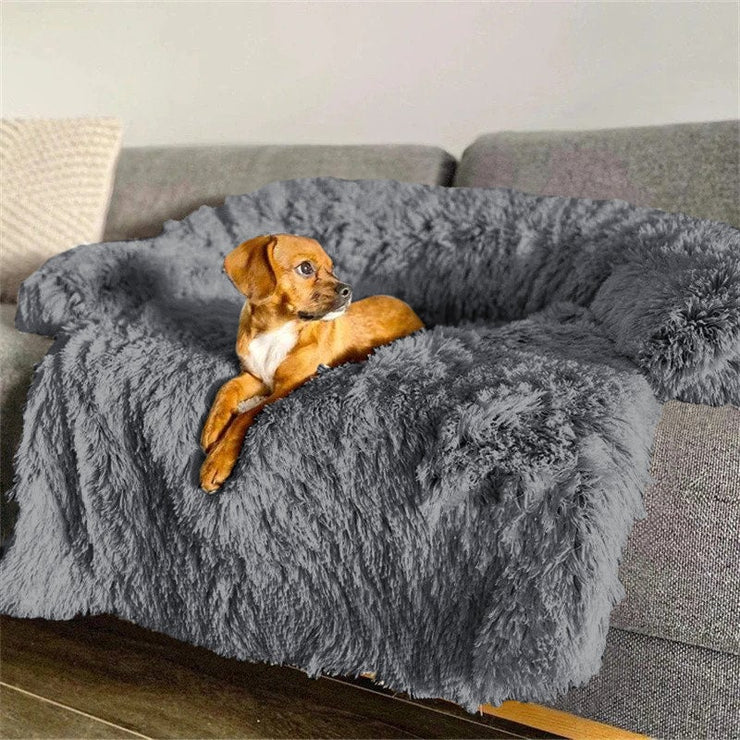 Dark Gray Pup Sofa